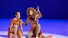 Imagem de Escola de Dança do Funchal apresenta “Rei Leão” no Teatro Baltazar Dias