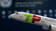 Imagem de TAP: Companhia aérea precisa de paz