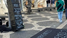 Imagem de Protesto contra a «morte do artista» (áudio)