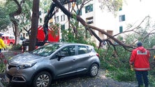 Imagem de Mau tempo faz estragos na Nazaré, Funchal (Vídeo)