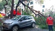 Imagem de Mau tempo faz estragos na Nazaré, Funchal (Vídeo)