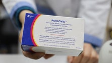 Imagem de Portugal vai adquirir antiviral da Pfizer
