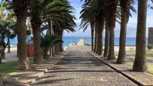 Imagem de Porto Santo organiza Festival Gastronómico (áudio)