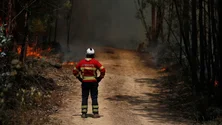 Imagem de Incêndios: Quase todo o território do continente em perigo máximo e muito elevado
