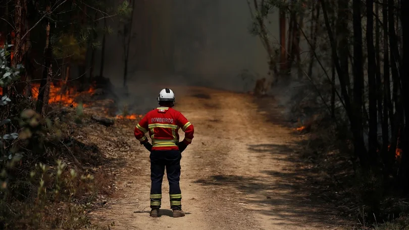 Incêndios: Quase todo o território do continente em perigo máximo e muito elevado