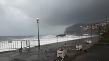 Praia Formosa vedada ao público