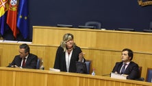 Imagem de Governo vai apoiar empresas que tenham ao serviço mulheres grávidas