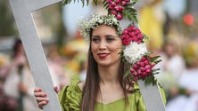 Imagem de Festa da Flor conta com o orçamento mais alto de sempre (vídeo)