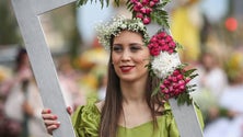 Festa da Flor conta com o orçamento mais alto de sempre (vídeo)