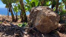 Queda de pedra causa alarme (vídeo)