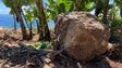Imagem de Queda de pedra causa alarme (vídeo)