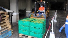 Imagem de 36 toneladas de produtos agrícolas de Câmara de Lobos escoadas em dois dias (Vídeo)