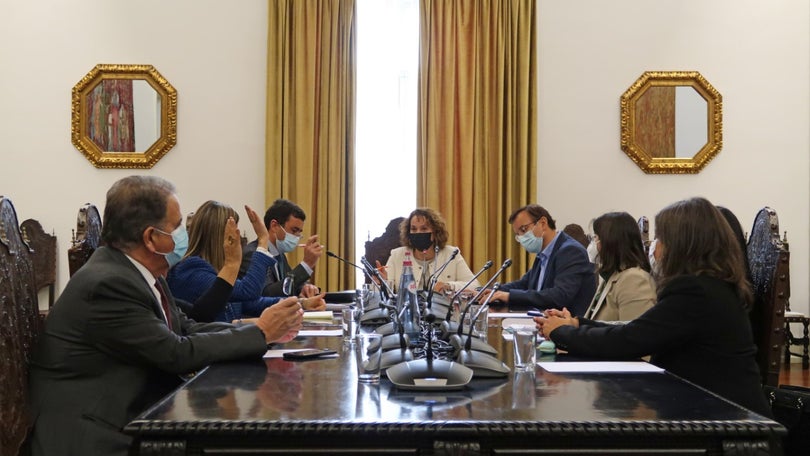 Imagem de Novo Estatuto do Dirigente Desportivo aprovado na especialidade