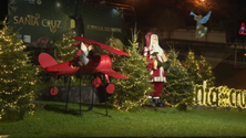 Imagem de Santa Cruz dinamiza uma nova cultura de animação (vídeo)