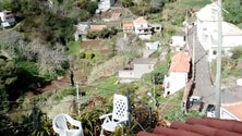Imagem de Covid-19: Rotina da vida no campo pouco alterada (Áudio)