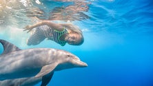 Imagem de Associação de Autismo da Madeira ganha sede em Santo Amaro