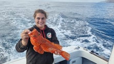 Imagem de Fabiana Martins garante ser a única pescadora a exercer na Região (áudio)