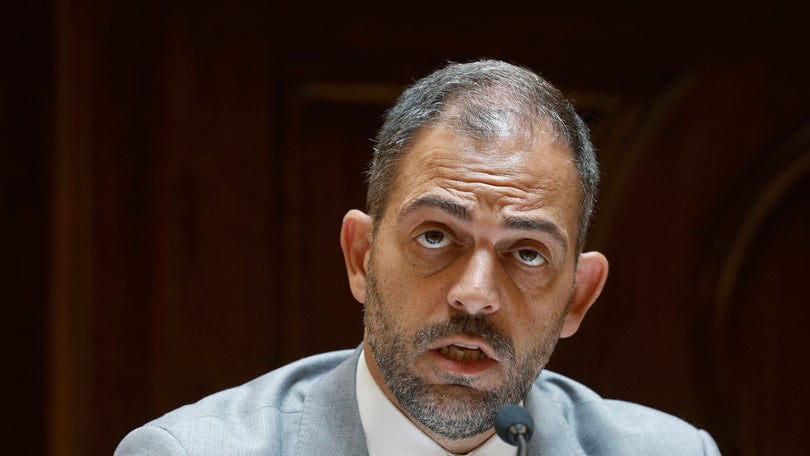 Imagem de Governo autoriza contratação de 665 técnicos para a APA, DGEG e ICNF