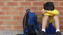 Imagem de 55 Psicólogos ao serviço das escolas da Madeira