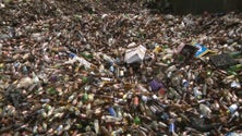 Imagem de 1300 toneladas de resíduos vão ser enterradas na ilha das Flores