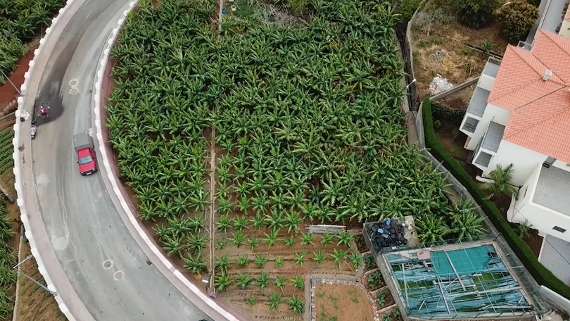 Imagem de Conselho de Governo autoriza expropriação de terrenos por mais de 50 mil euros  em Câmara de Lobos