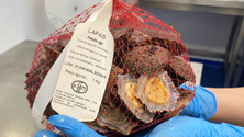Imagem de Centro de embalamento de lapas já está operacional (áudio)