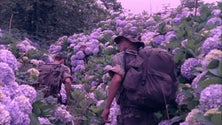 Filme Flores ganha prémio em Bucareste