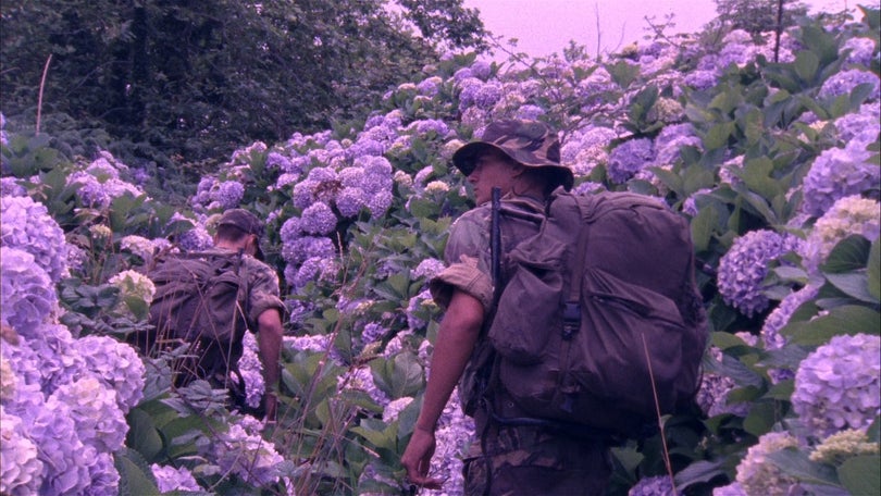 Filme Flores ganha prémio em Bucareste