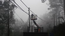 Produção de Eletricidade aumenta na Madeira