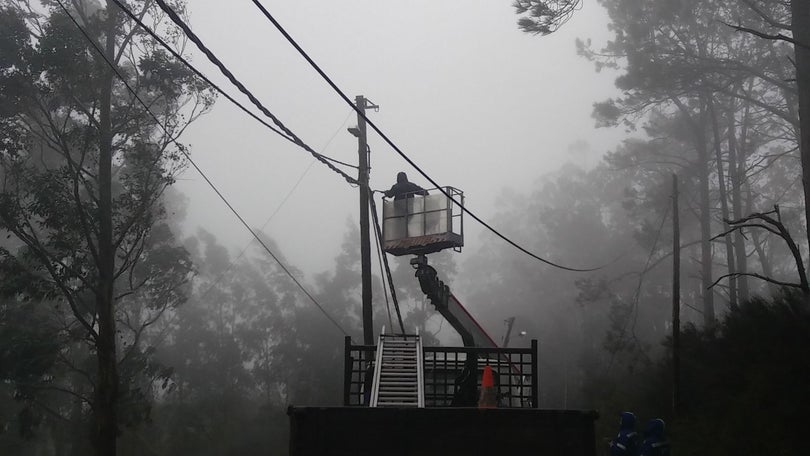 Imagem de Produção de Eletricidade aumenta na Madeira