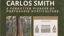 Imagem de Universidade da Madeira releva trabalho de Ricardo Carlos Smith