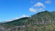 Madeira limpou mais de 1.600 hectares de floresta nos últimos seis anos (áudio)