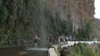 Turistas ignoram o perigo da queda de pedras nos Anjos (vídeo)