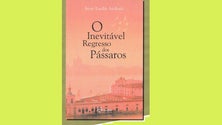 Irene Lucília de Andrade apresenta «O inevitável regresso dos pássaros» (áudio)