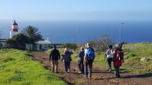 Imagem de Turismo de observação de aves na Madeira (Áudio)