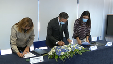 Imagem de Associação de Paralisia Cerebral da Madeira (vídeo)