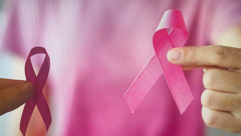 Imagem de Liga Portuguesa Contra o Cancro assinala Outubro Rosa com várias iniciativas