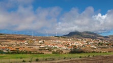 Imagem de Governo quer eliminar produtos químicos da agricultura do Porto Santo