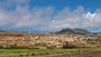 Governo quer eliminar produtos químicos da agricultura do Porto Santo