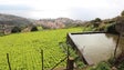 Imagem de Programa de Desenvolvimento Rural começou lento mas já se encontra a `níveis aceitáveis`