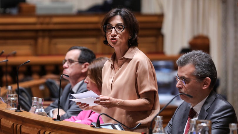 Imagem de Governo anuncia aviso de 12 milhões para agricultura de precisão