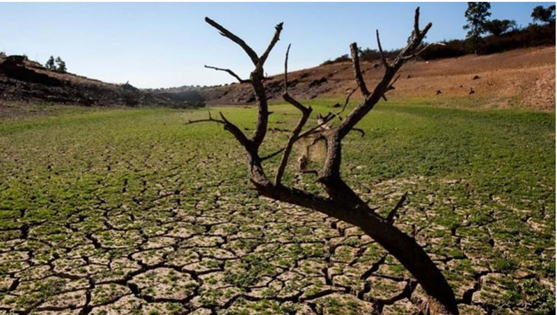 Cerca de 3,6 mil milhes vulnerveis ao aquecimento global