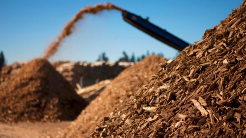 Imagem de Mais energia através da biomassa ameaça milhares de empregos