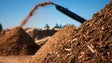 Mais energia através da biomassa ameaça milhares de empregos