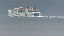 Imagem de Lobo Marinho antecipa viagem de domingo