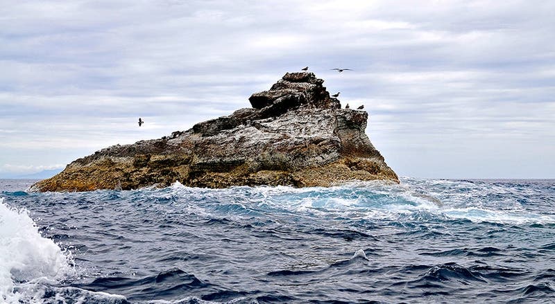 Organizações ambientais preocupadas com sobrepesca nos Açores