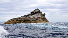 Imagem de Organizações ambientais preocupadas com sobrepesca nos Açores