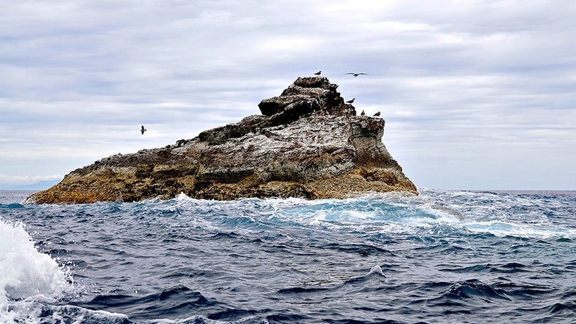 Organizações ambientais preocupadas com sobrepesca nos Açores