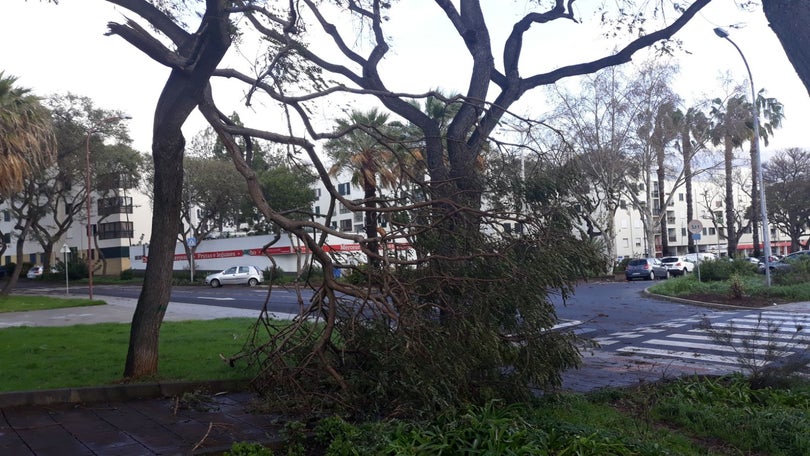 Bombeiros do Funchal chamados a 40 ocorrências por causa do temporal