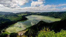 Imagem de Primeiro parque de arvorismo dos Açores abre em 2021 (Vídeo)